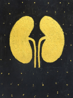Kidneys , golden, 2021, Acryl und Lackfarbe, acrylic and gloss paint, 40 x 30 cm, 15,74 x 11,81 inches